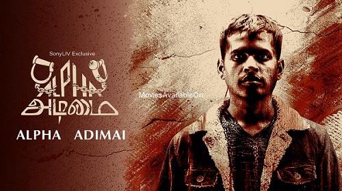 ALPHA ADIMAI
